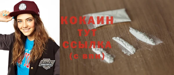 трава Ельня