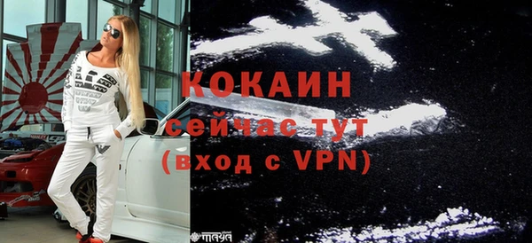 трава Ельня