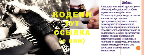 трава Ельня