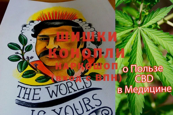 трава Ельня