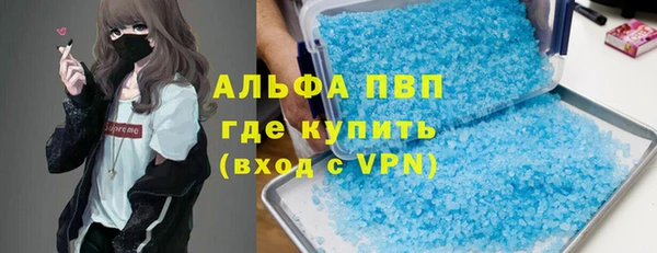 трава Ельня