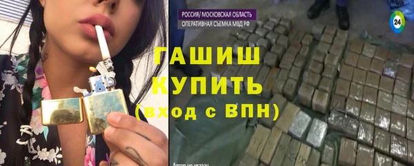 трава Ельня